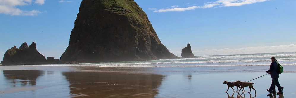 Dogs on Cannon Beach Oregon by Haystack Rock